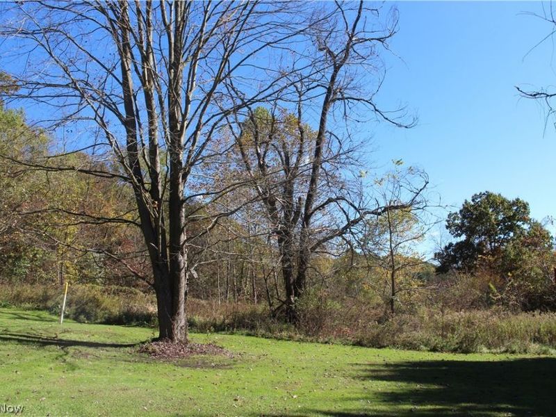 49410 Pioneer Road, Negley, OH 44441 Photo 21