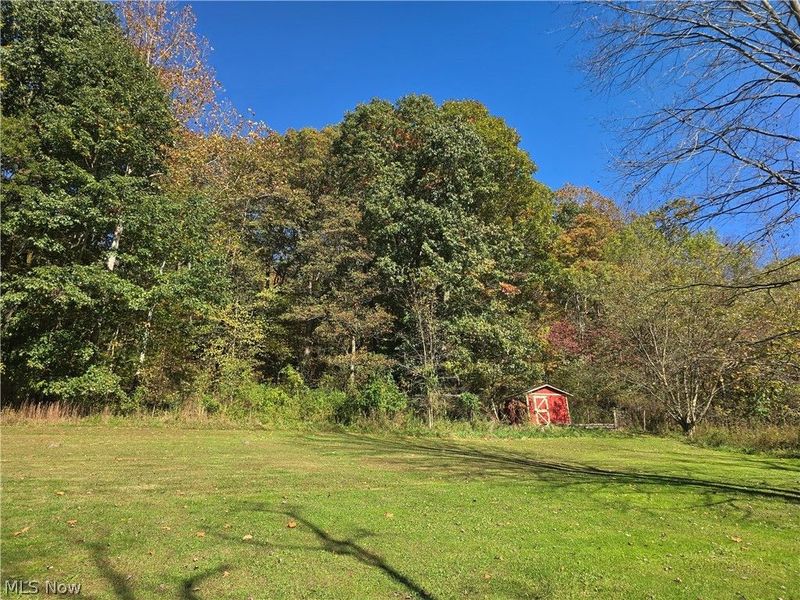 49410 Pioneer Road, Negley, OH 44441 Photo 22