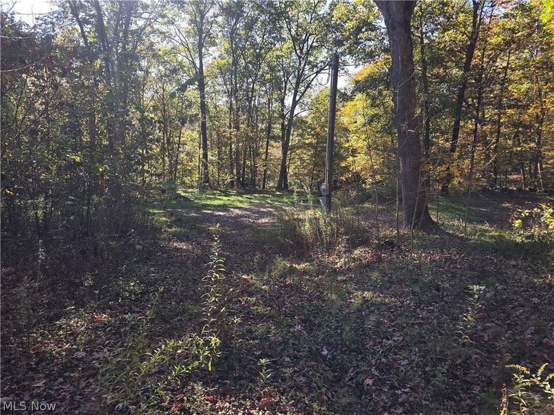 49410 Pioneer Road, Negley, OH 44441 Photo 33