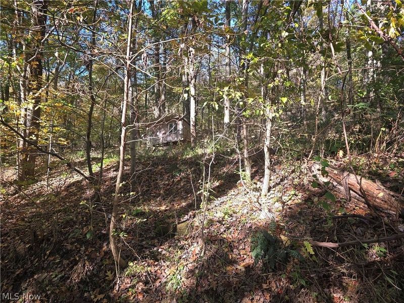 49410 Pioneer Road, Negley, OH 44441 Photo 34