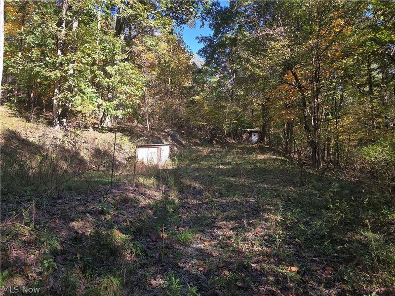 49410 Pioneer Road, Negley, OH 44441 Photo 37