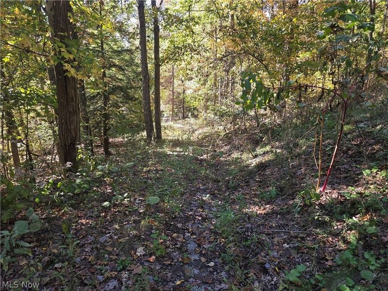 49410 Pioneer Road, Negley, OH 44441 Photo 38