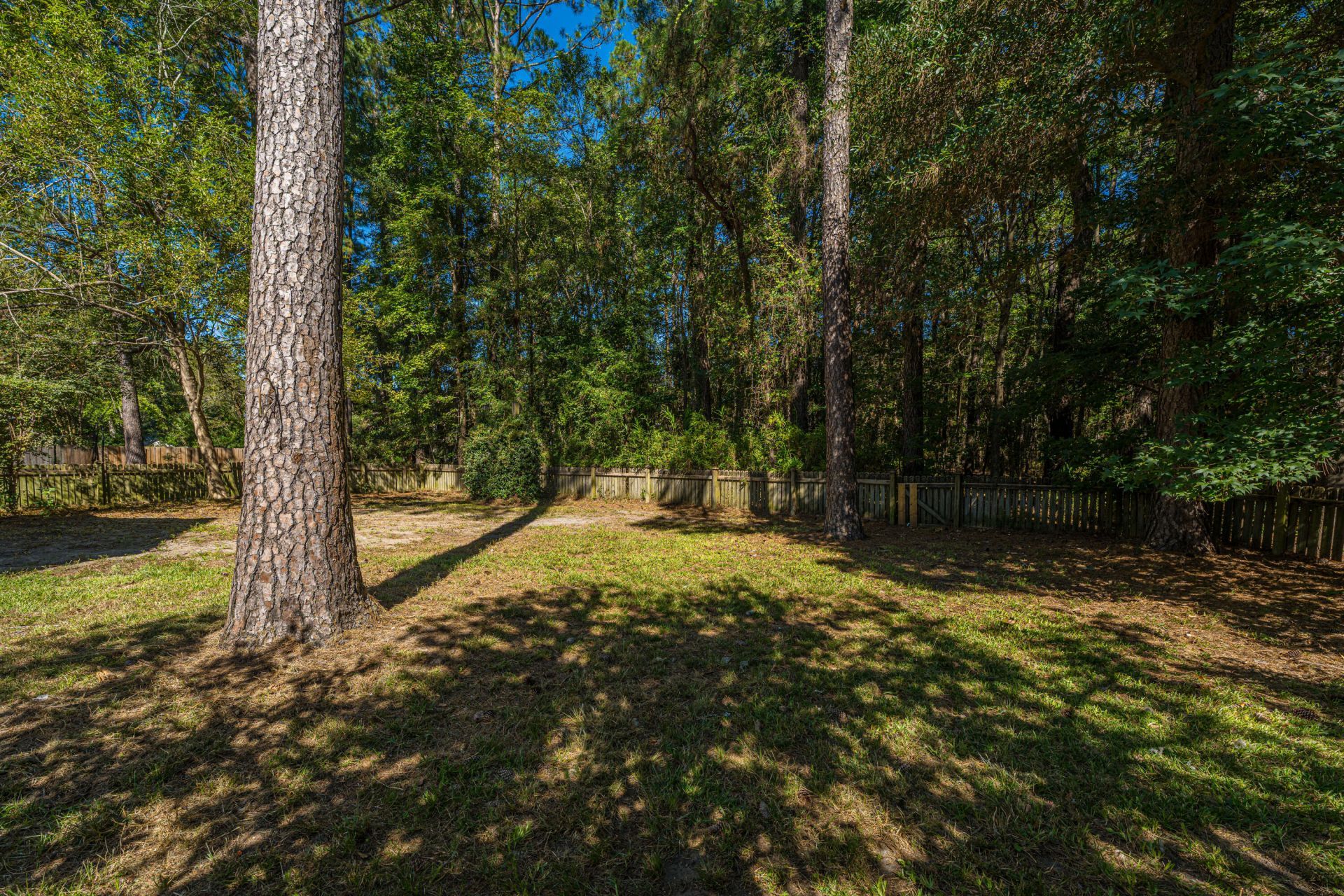 3320 Cedar Creek Court Photo 20