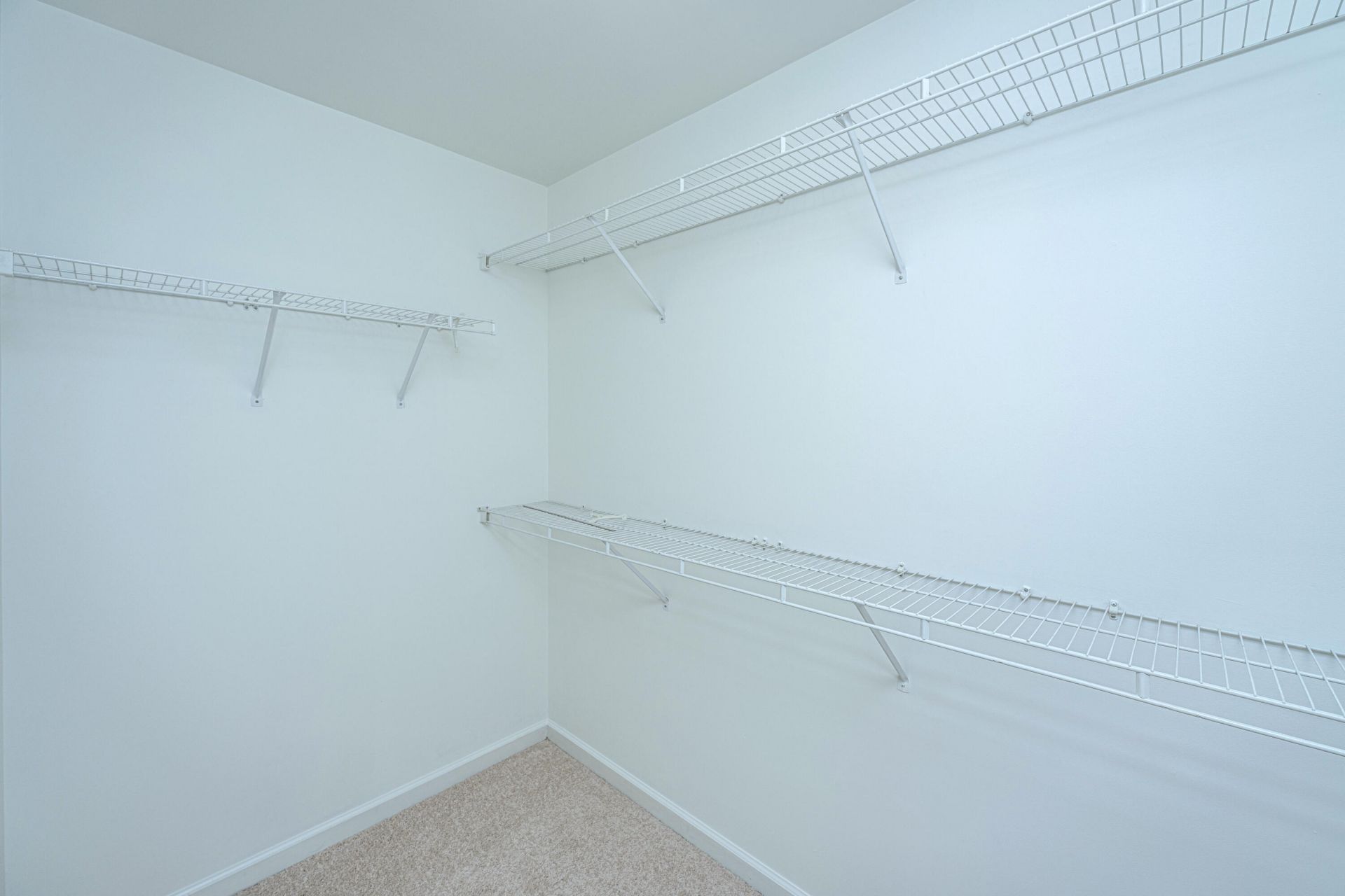 3320 Cedar Creek Court Photo 33