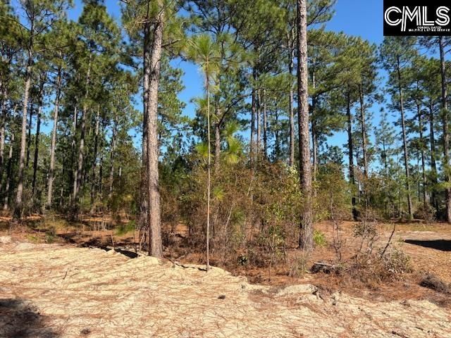 1414 Martin Smith Road  Photo 21