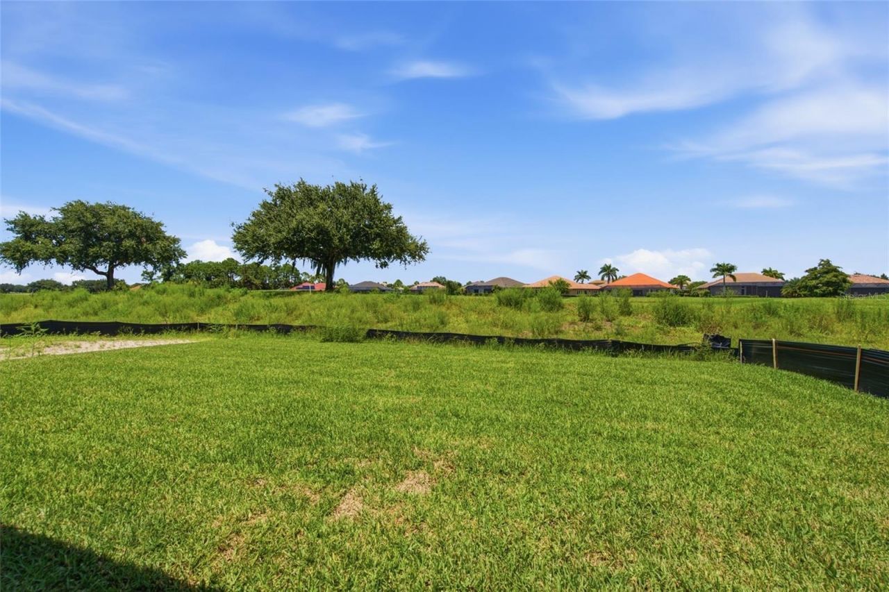16951 Squirrel Branch Lane , Alva, FL 33920 Photo