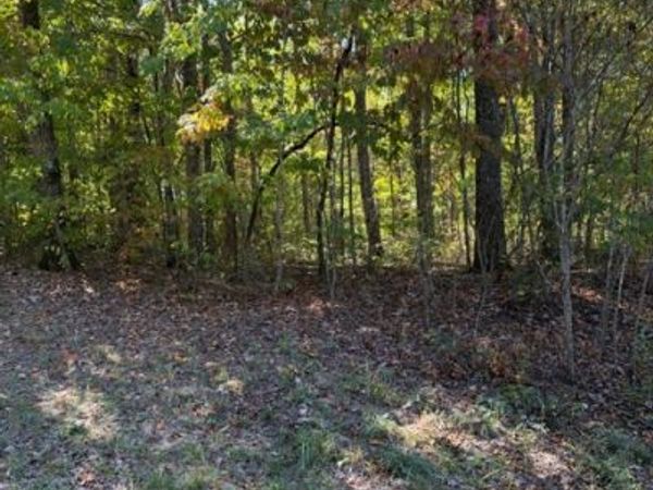 0 Tree Top Cr , Unit 346, Spencer, TN 38585
