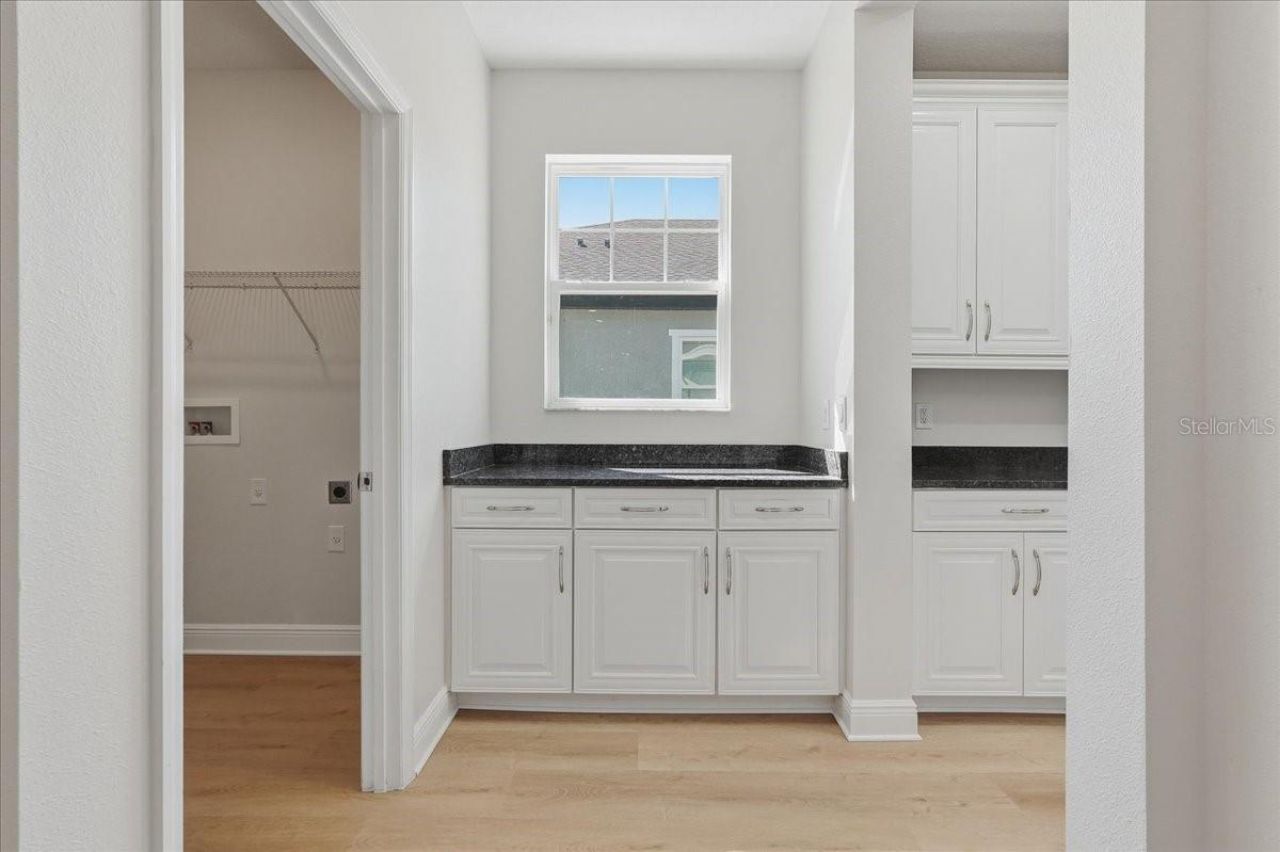 5118 Coastal Scene Drive, Apollo Beach, FL 33572 Photo