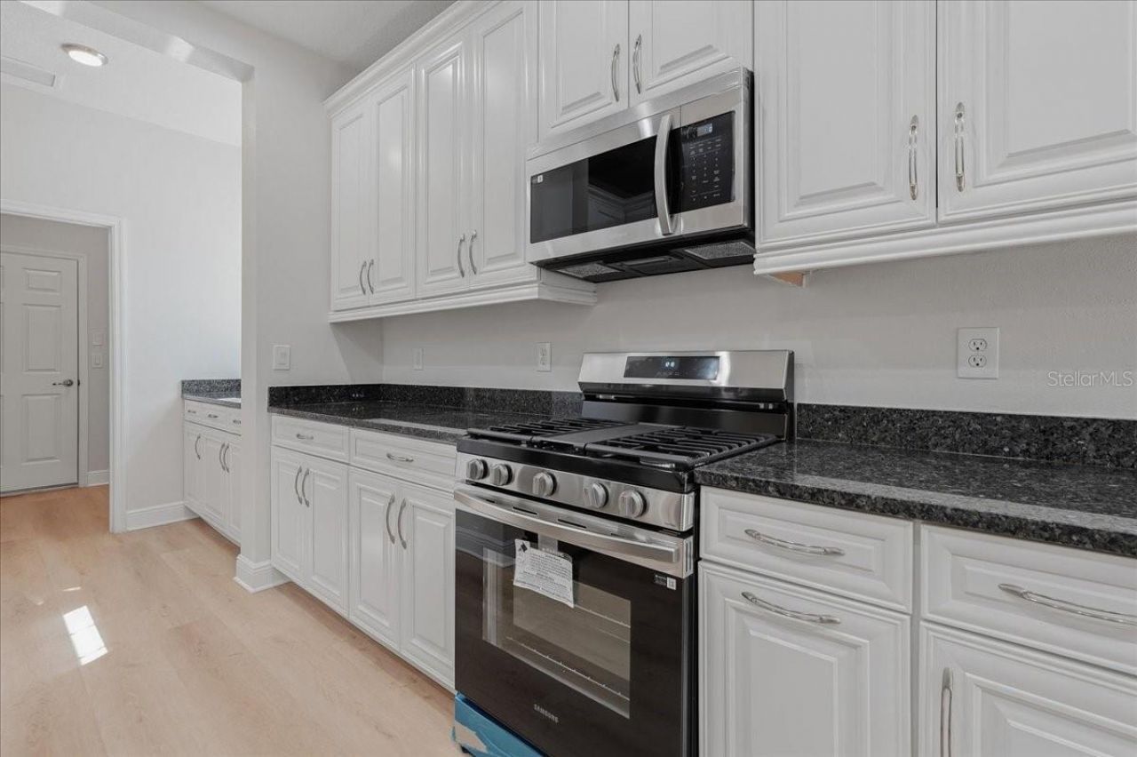 5118 Coastal Scene Drive, Apollo Beach, FL 33572 Photo