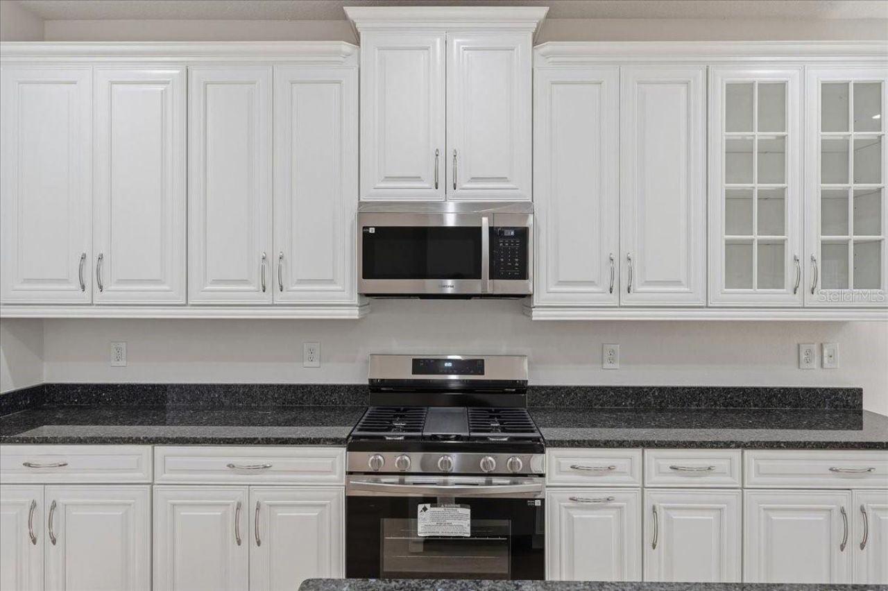 5118 Coastal Scene Drive, Apollo Beach, FL 33572 Photo