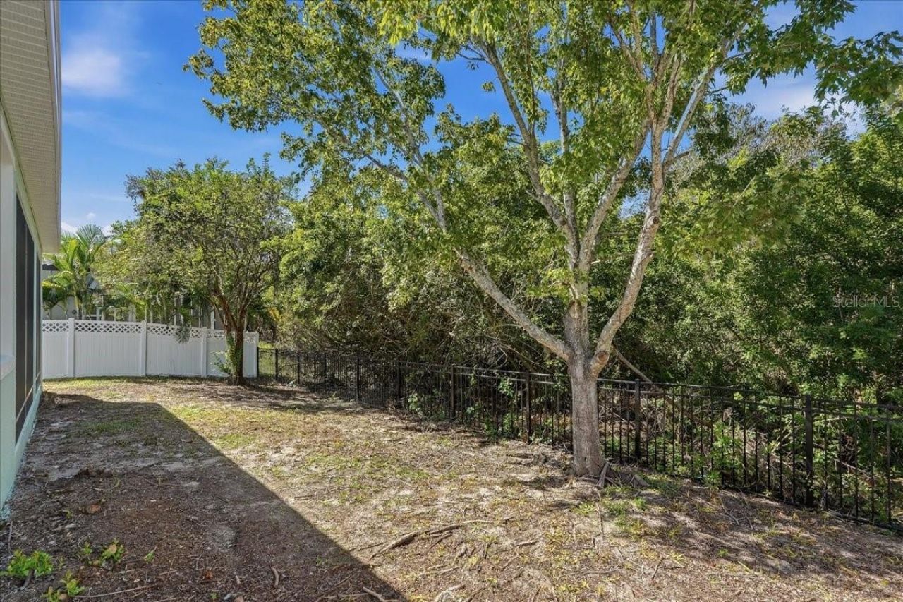 5118 Coastal Scene Drive, Apollo Beach, FL 33572 Photo