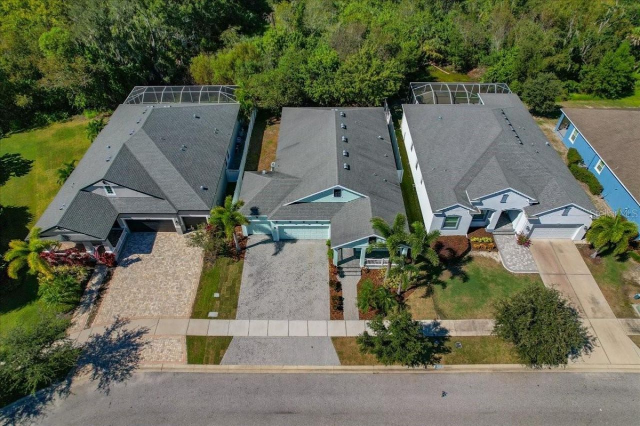 5118 Coastal Scene Drive, Apollo Beach, FL 33572 Photo