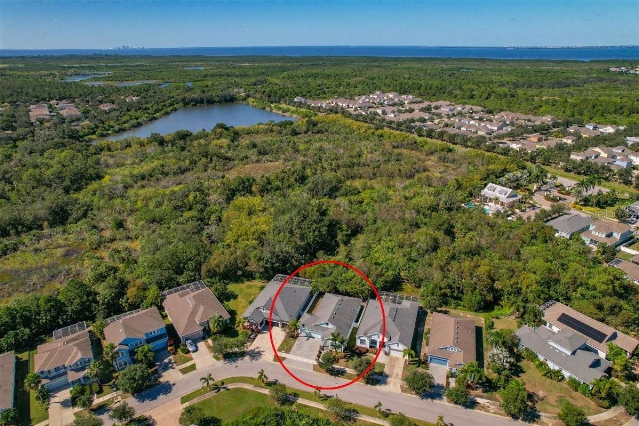 5118 Coastal Scene Drive, Apollo Beach, FL 33572 Photo