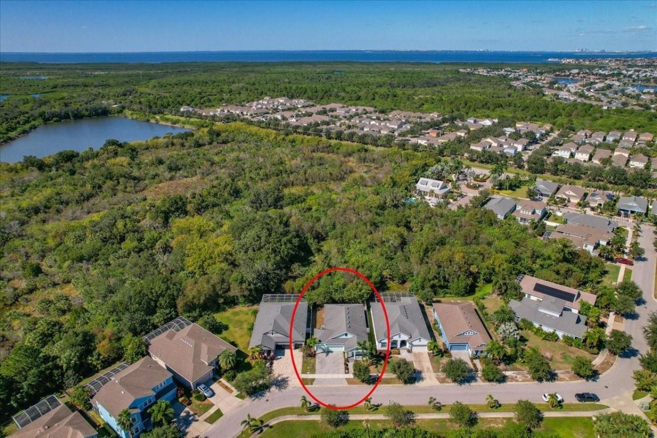 5118 Coastal Scene Drive, Apollo Beach, FL 33572 Photo