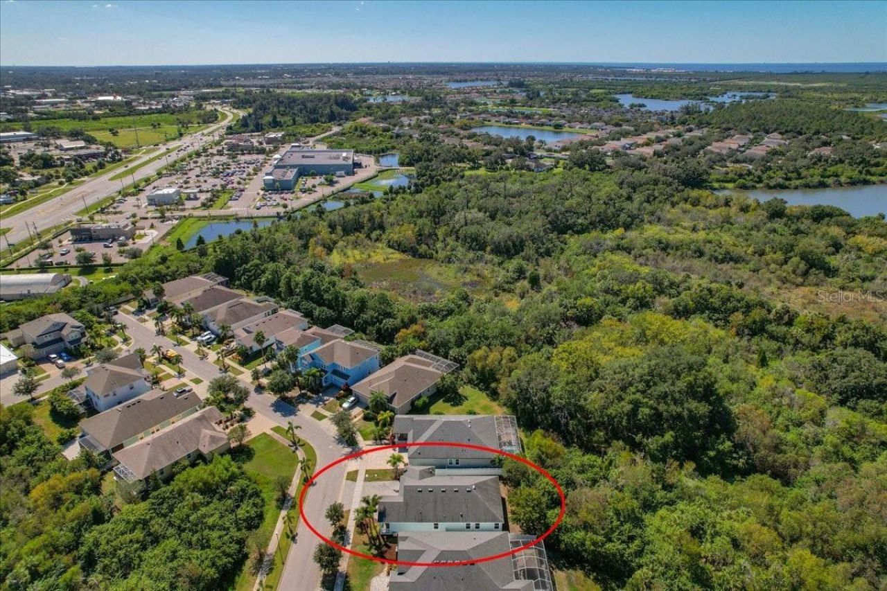 5118 Coastal Scene Drive, Apollo Beach, FL 33572 Photo
