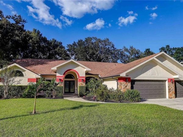 3929 BUCKINGHAM LOOP DRIVE , VALRICO, FL 33594