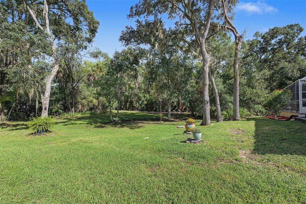 1829 Foxboro Court, Oldsmar, FL 34677 Photo