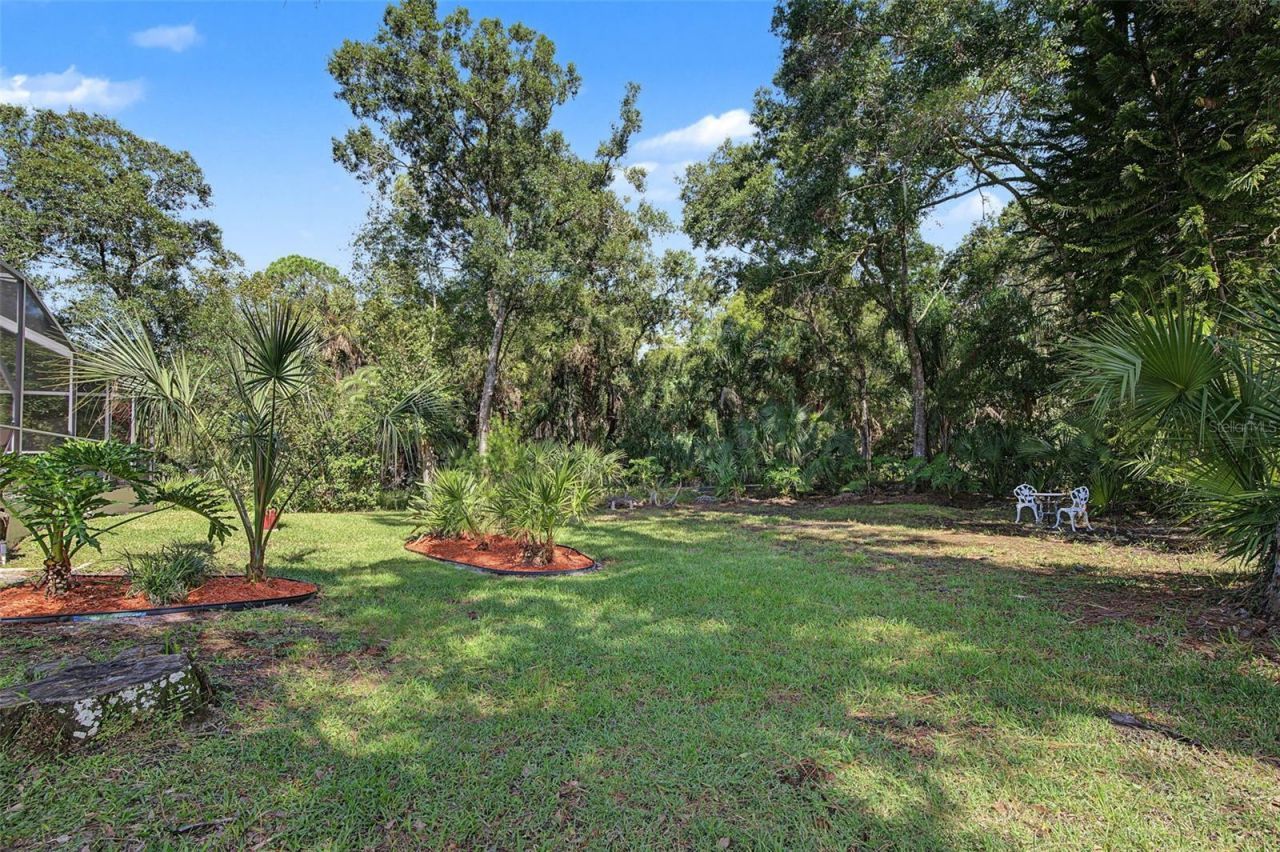 1829 Foxboro Court, Oldsmar, FL 34677 Photo