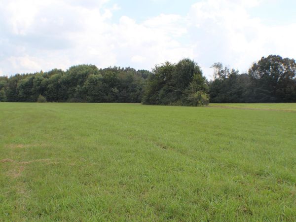 236 Co Rd 388, Killen, AL 35645