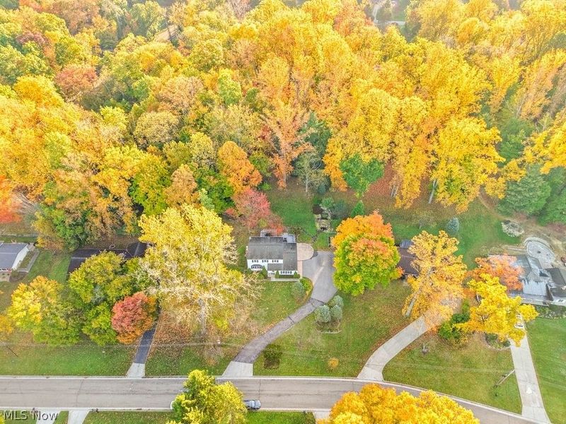 8327 Crystal Creek Road, Northfield, OH 44067 Photo 48