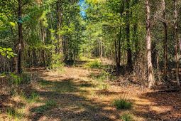 8419 Jefferies Highway photo 4