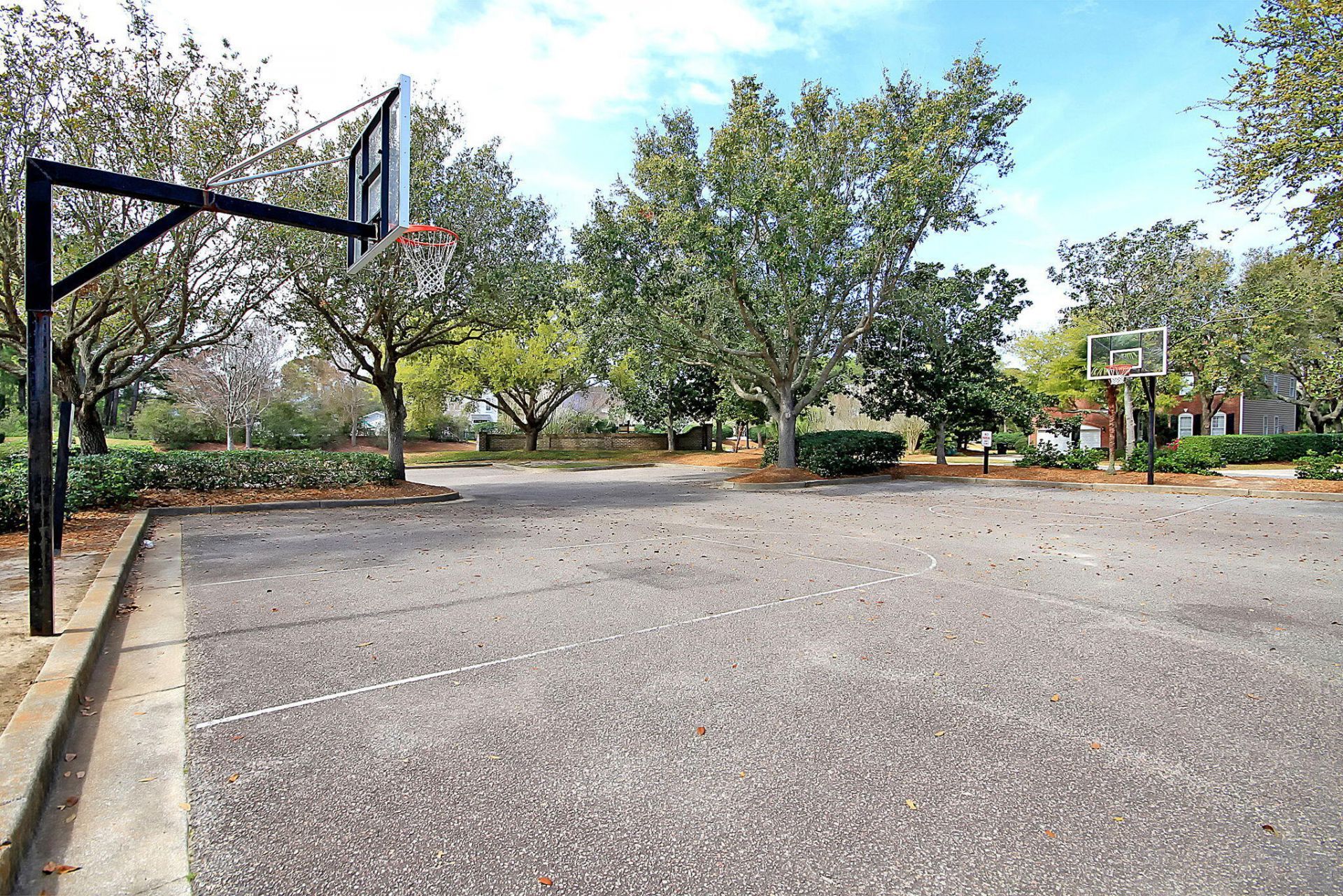 341 Jardinere Walk Photo 59