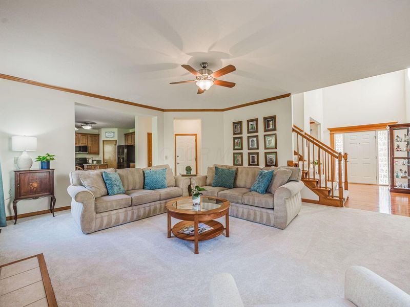 6643 Spring Run Drive, Westerville, OH 43082 Photo 13