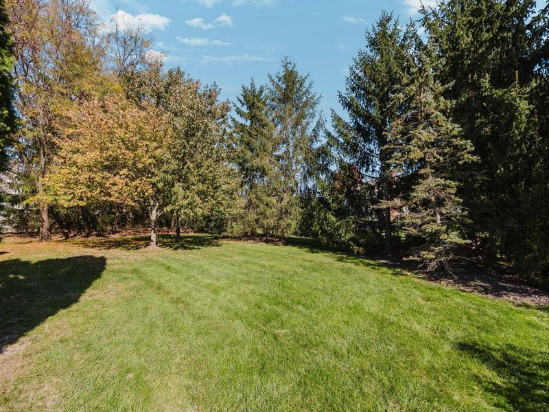 6643 Spring Run Drive, Westerville, OH 43082 Photo 69