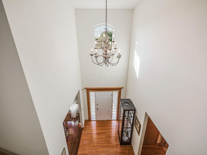 6643 Spring Run Drive, Westerville, OH 43082 Photo 8
