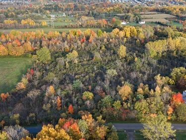 Allen Road, Syracuse, NY 13215