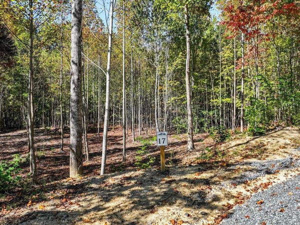 11.3 Acres Smoky Mountain Overlook, Cosby, TN 37722