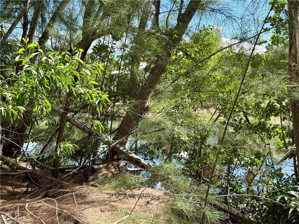 4018 Stringfellow Rd, Saint James City, FL 33956 Photo