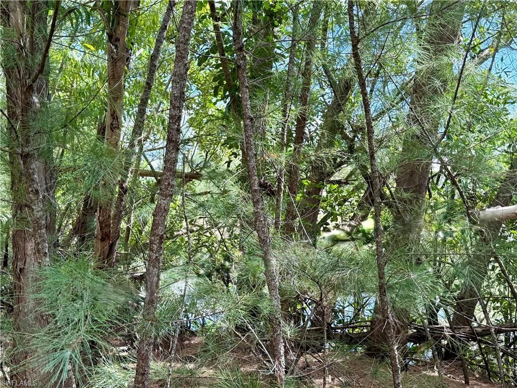 4018 Stringfellow Rd, Saint James City, FL 33956 Photo