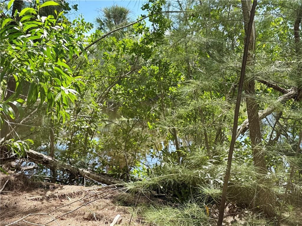 4018 Stringfellow Rd, Saint James City, FL 33956 Photo