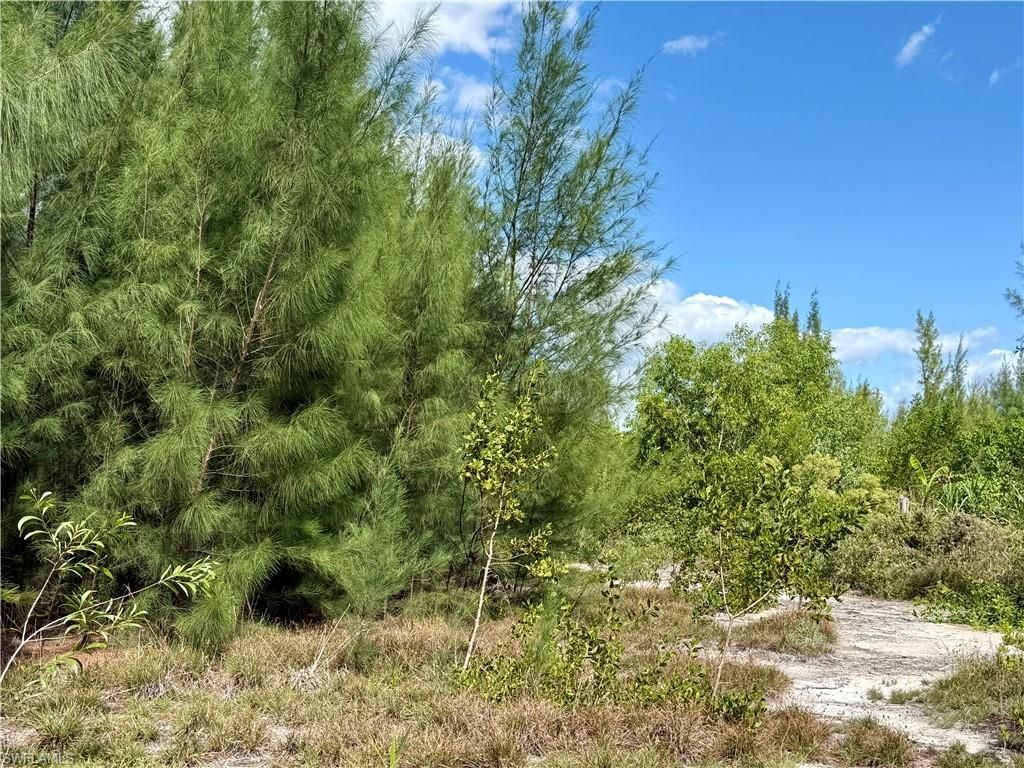 4018 Stringfellow Rd, Saint James City, FL 33956 Photo
