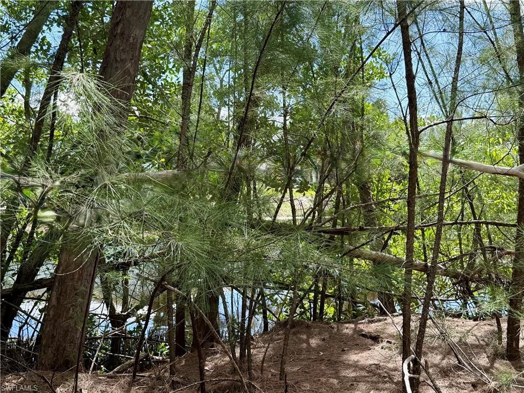 4018 Stringfellow Rd, Saint James City, FL 33956 Photo