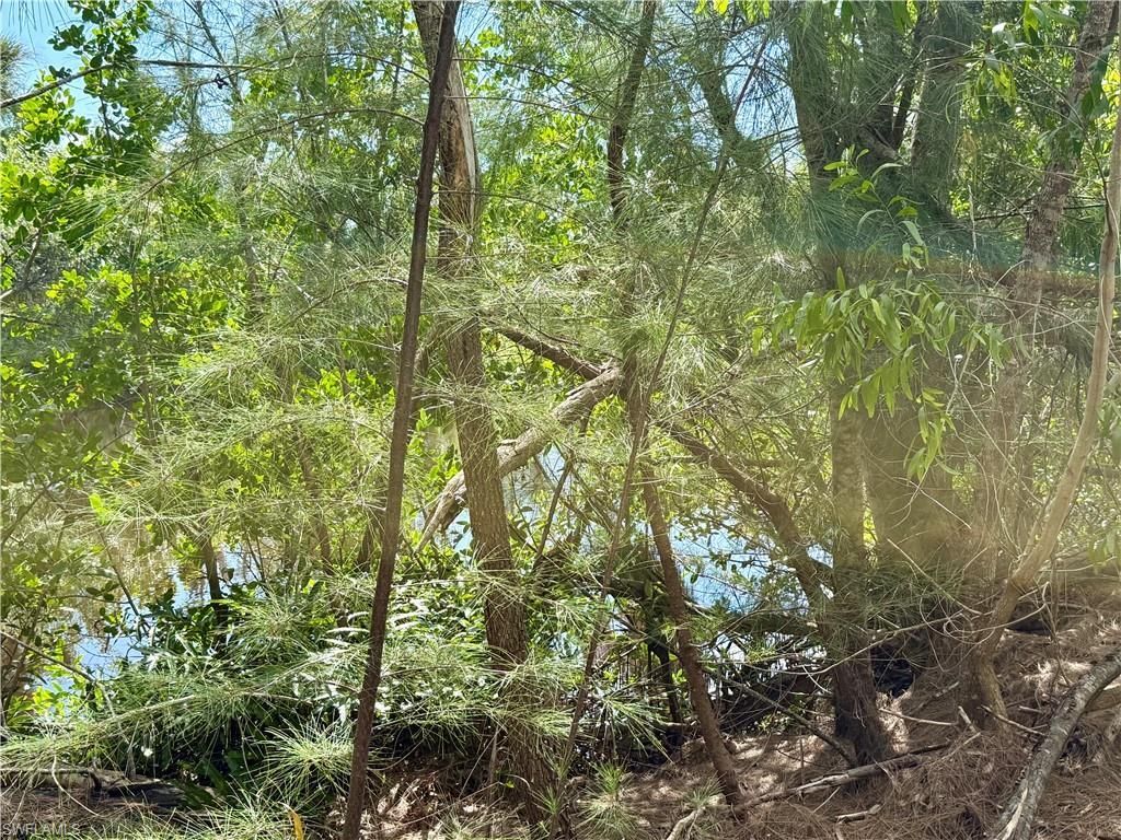 4018 Stringfellow Rd, Saint James City, FL 33956 Photo