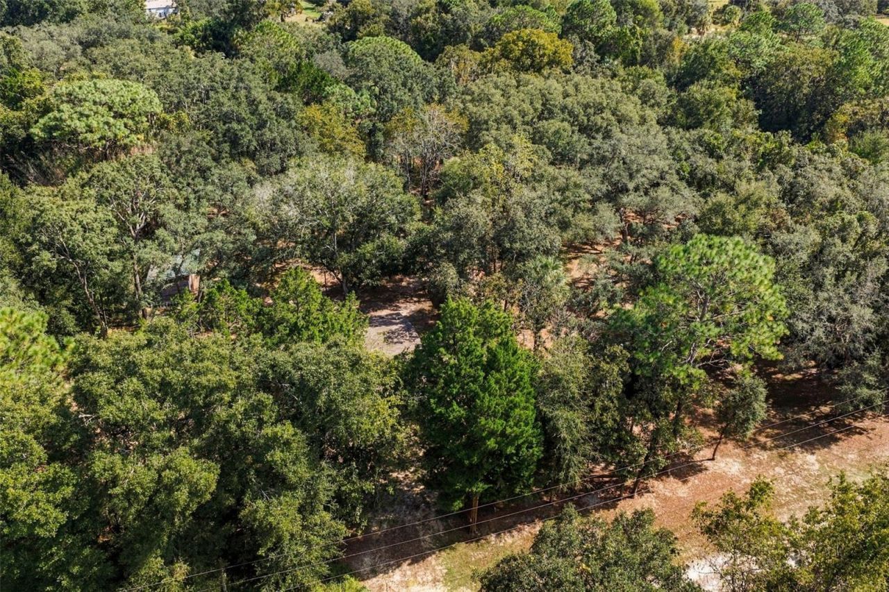 2035 S Goode Point , Homosassa, FL 34448 Photo