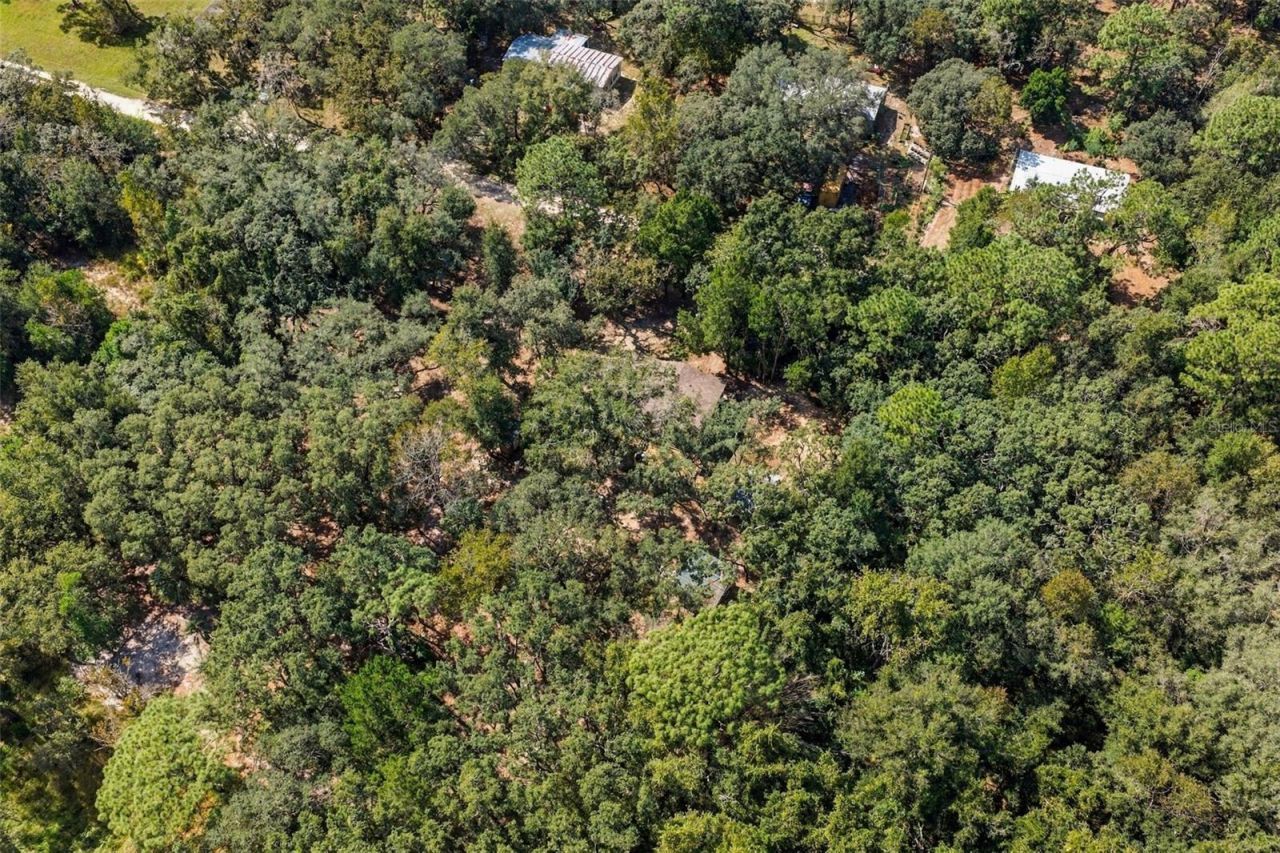 2035 S Goode Point , Homosassa, FL 34448 Photo
