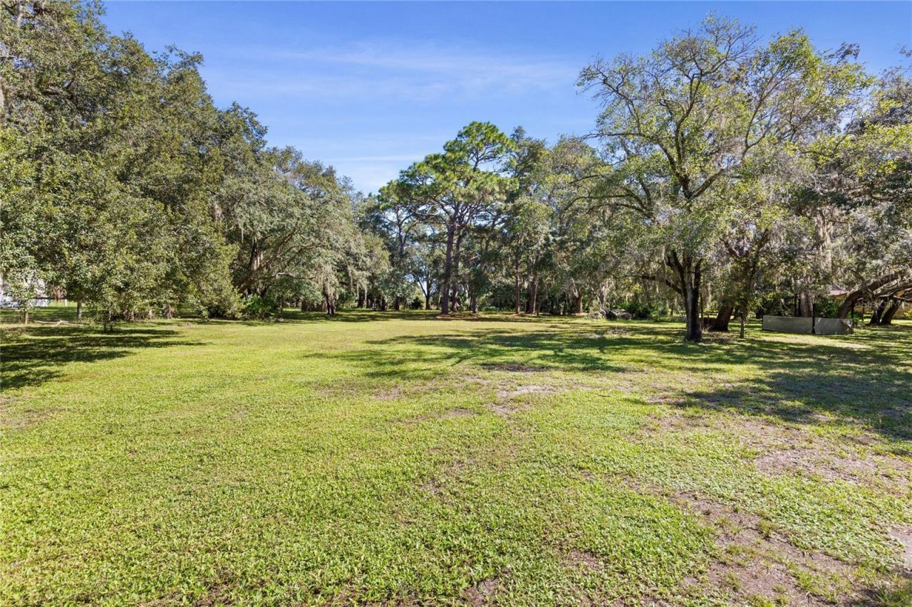 10179 Frierson Lake Drive , Hudson, FL 34669 Photo