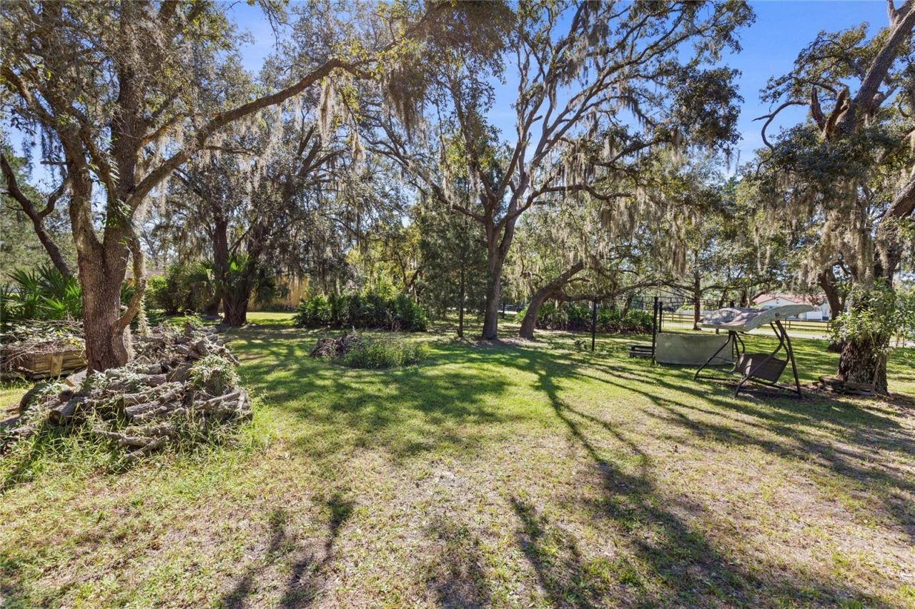 10179 Frierson Lake Drive , Hudson, FL 34669 Photo