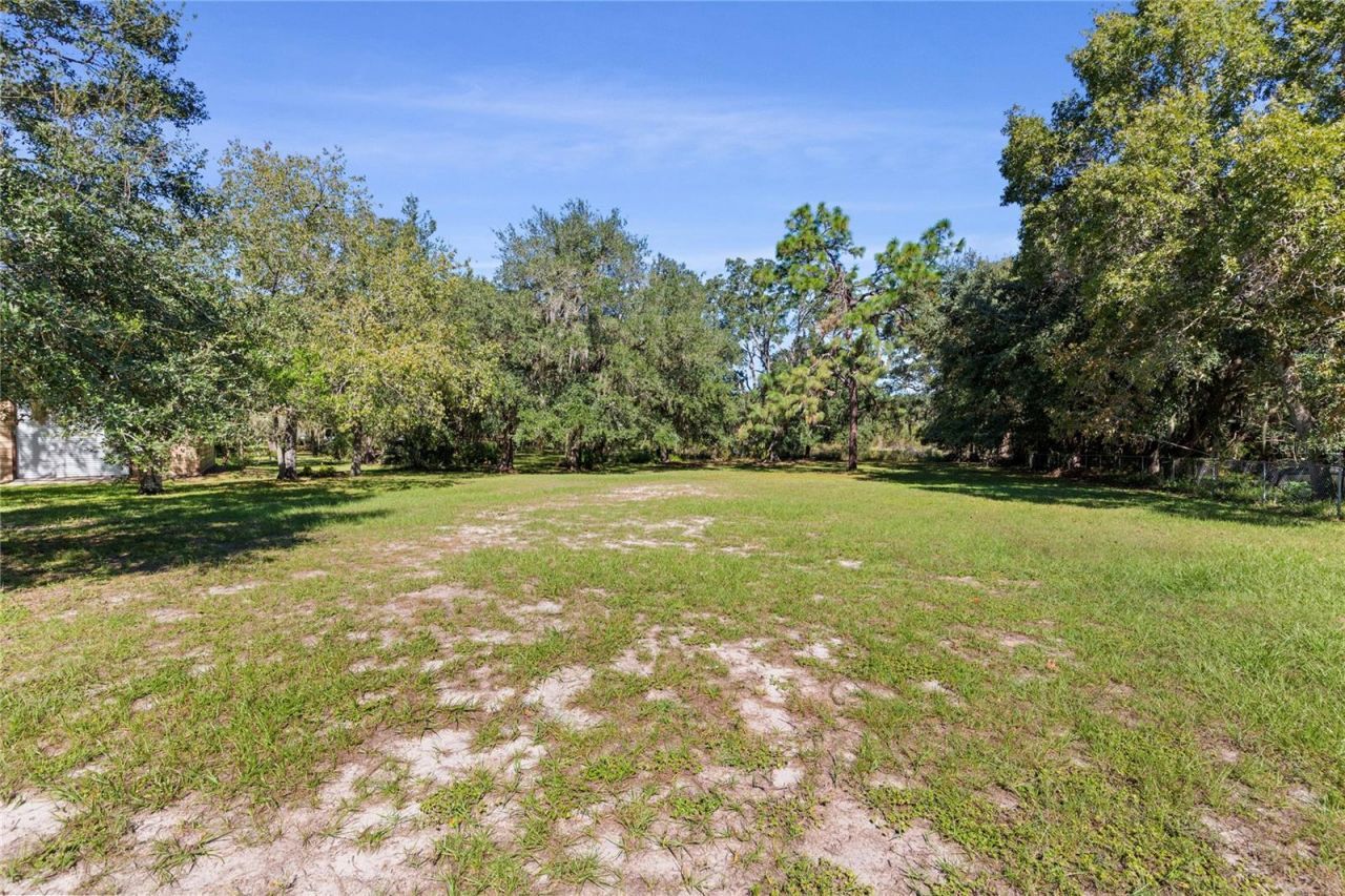10179 Frierson Lake Drive , Hudson, FL 34669 Photo