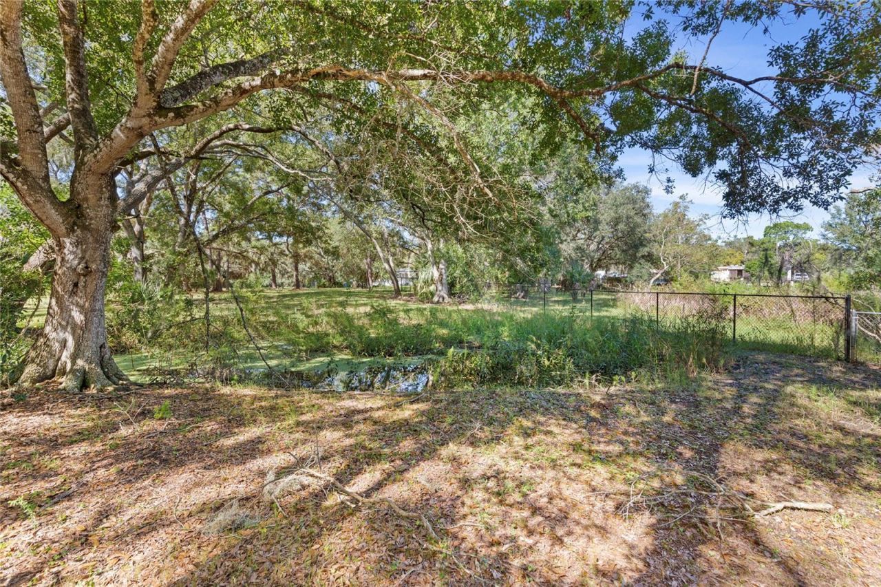 10179 Frierson Lake Drive , Hudson, FL 34669 Photo