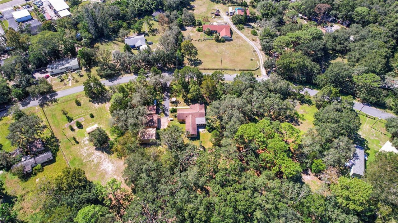 10179 Frierson Lake Drive , Hudson, FL 34669 Photo