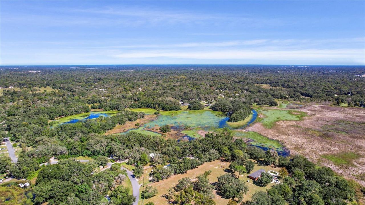 10179 Frierson Lake Drive , Hudson, FL 34669 Photo