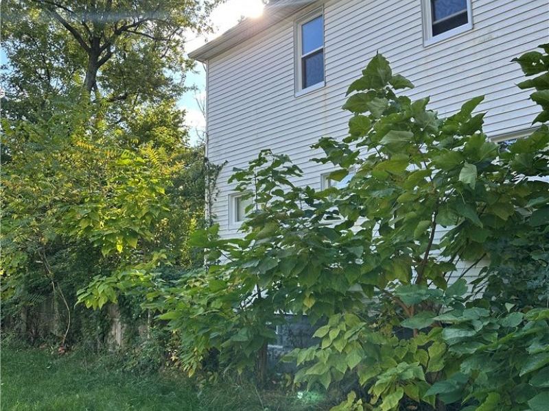 3313 E 121st Street, Cleveland, OH 44120 Photo 3