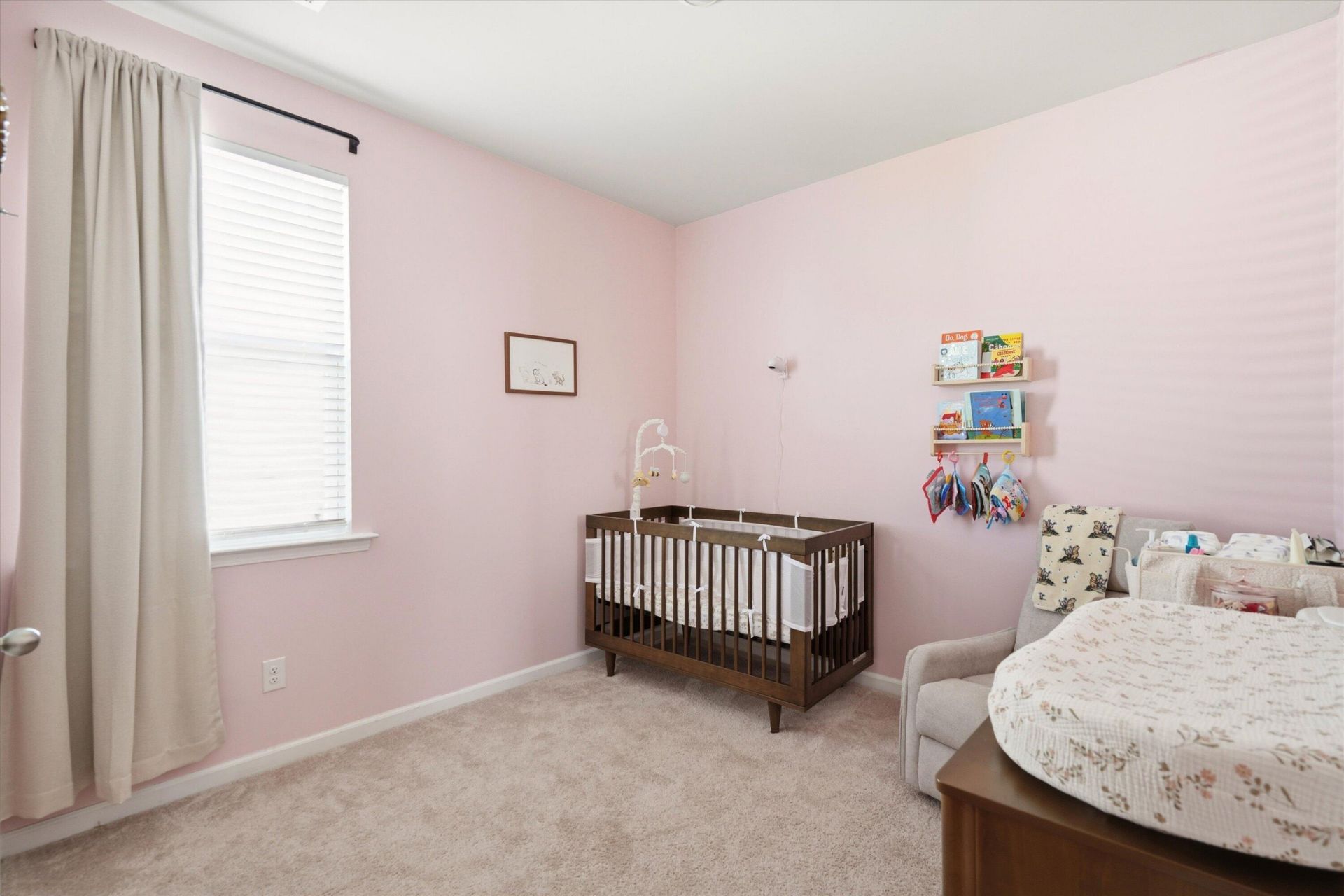 1014 Peridote Way Photo 19
