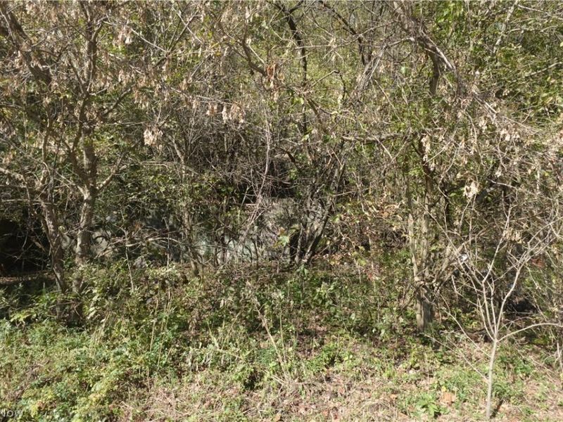 National Rd, Bridgeport, OH 43912 Photo 2