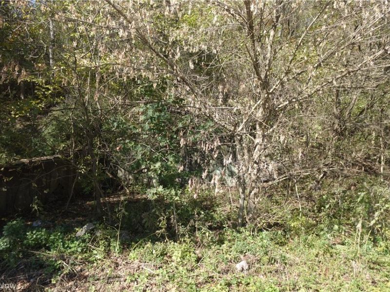 National Rd, Bridgeport, OH 43912 Photo 3