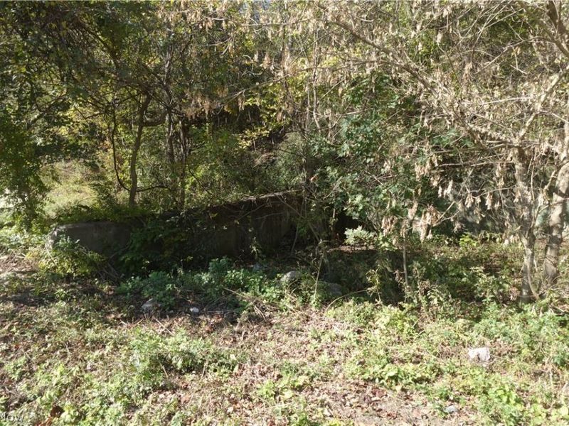 National Rd, Bridgeport, OH 43912 Photo 4